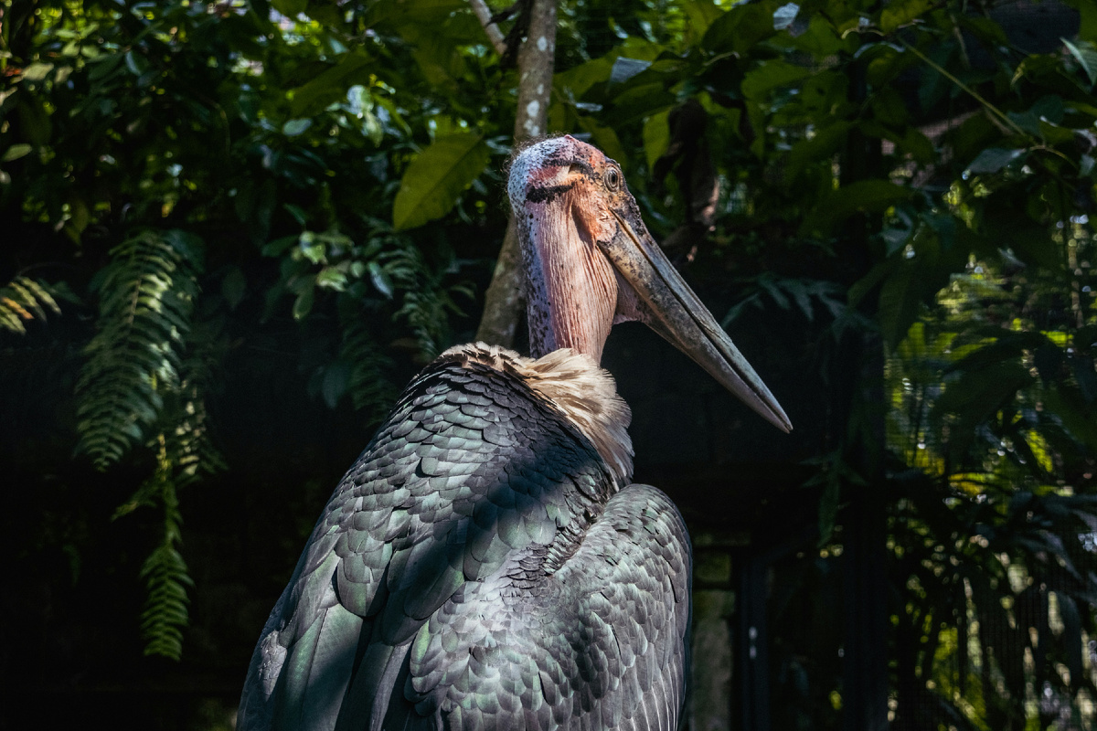 Картинка с бесплатного фотостока https://unsplash.com, автор Kristijan Arsov