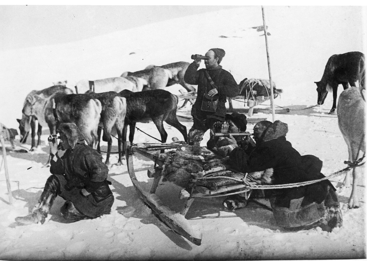 Учёт диких оленей. Апрель 1936 г. / laplandzap.ru