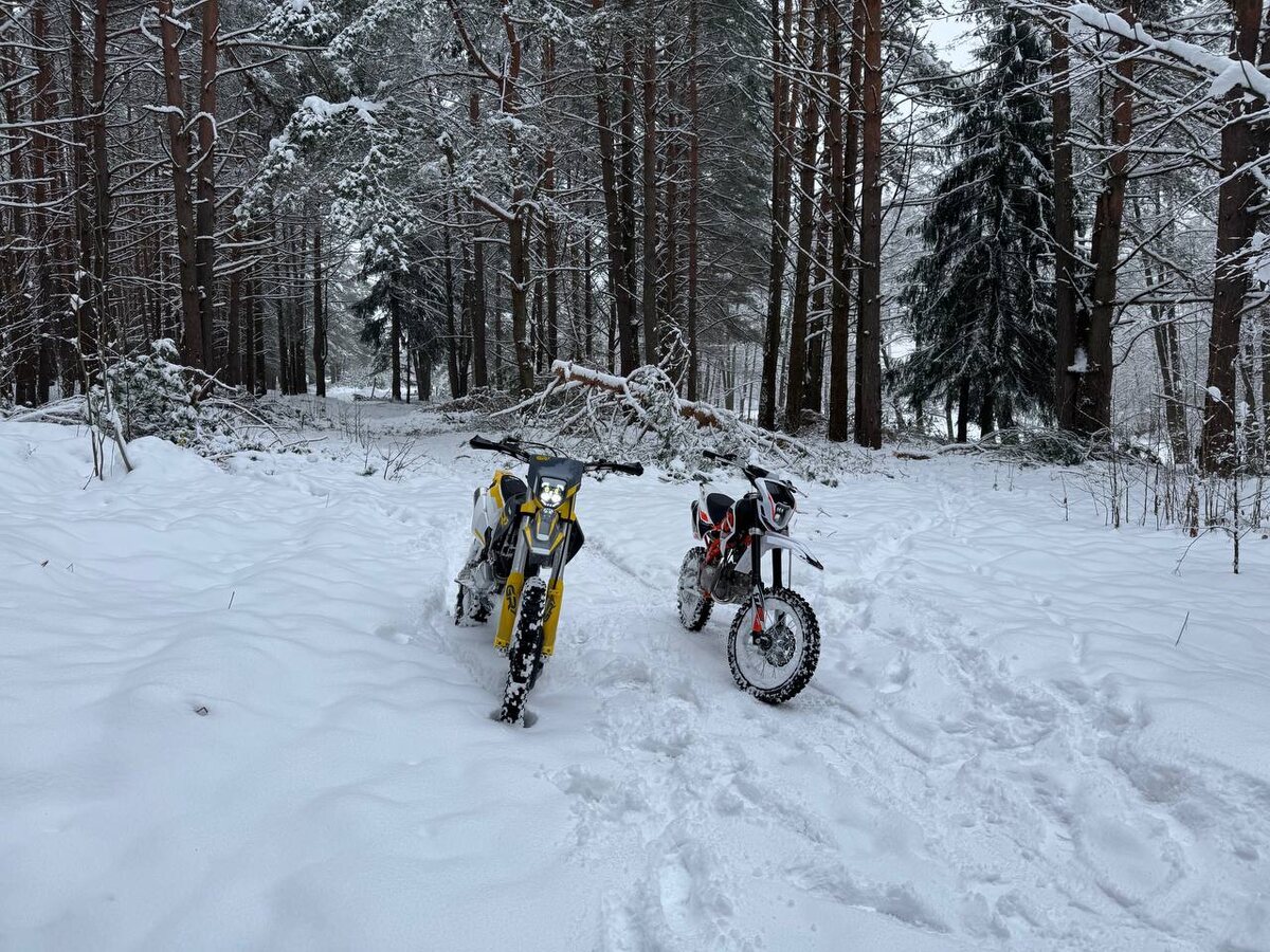 gr7 и  kauo tt125 в зимнем лесу