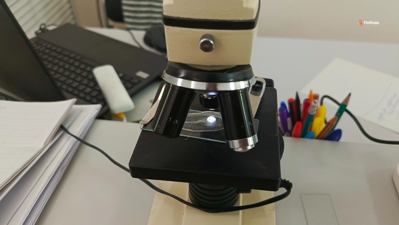    Все 52,2 тыс. т семенного материала яровых зерновых и зернобобовых культур проверят перед посевом Фото: Дарья Куличенко / / ИА «Победа26»