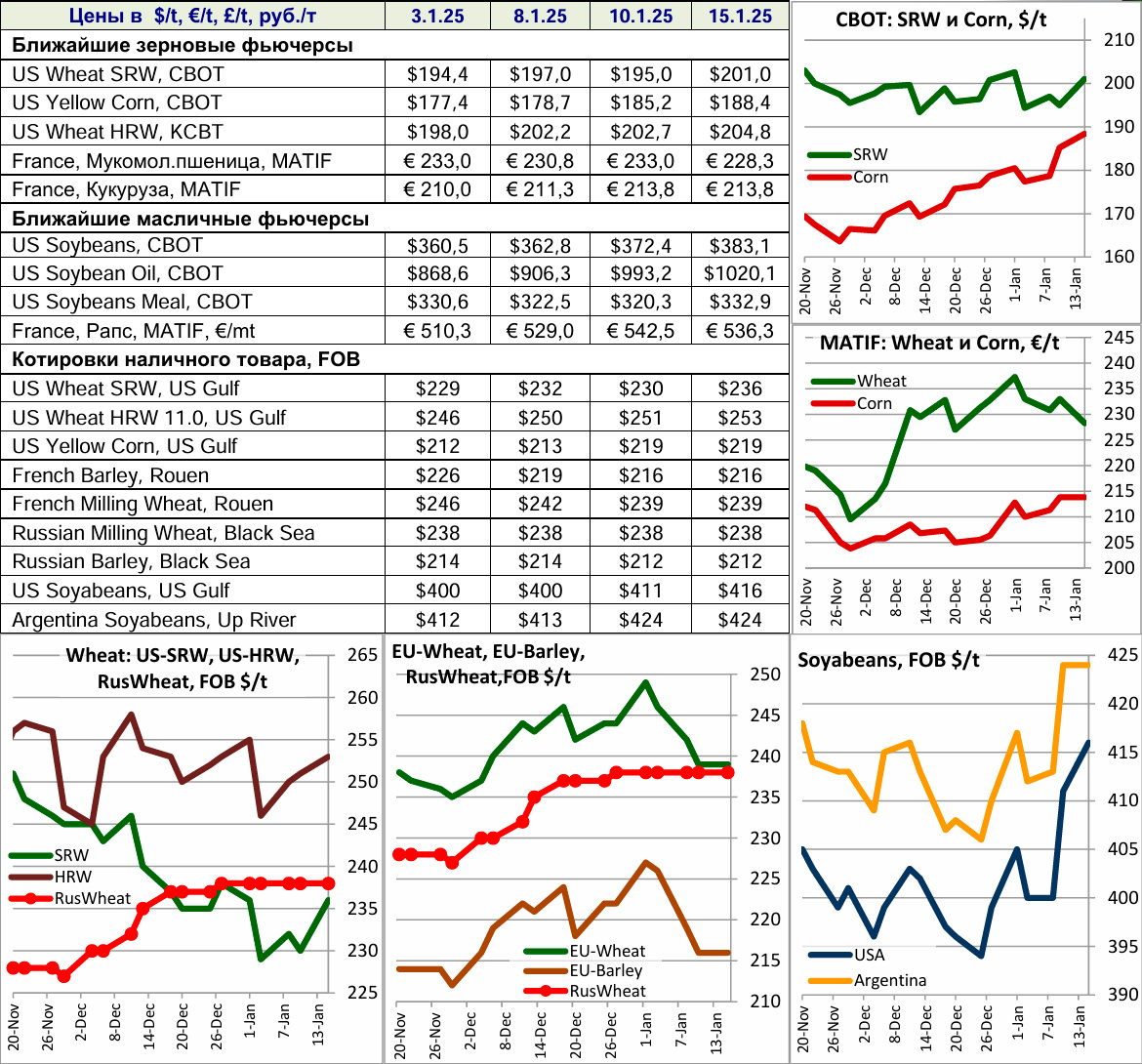 Ближайшие зерновые и масличные фьючерсы, котировки наличного товара FOB, 16.01.2025