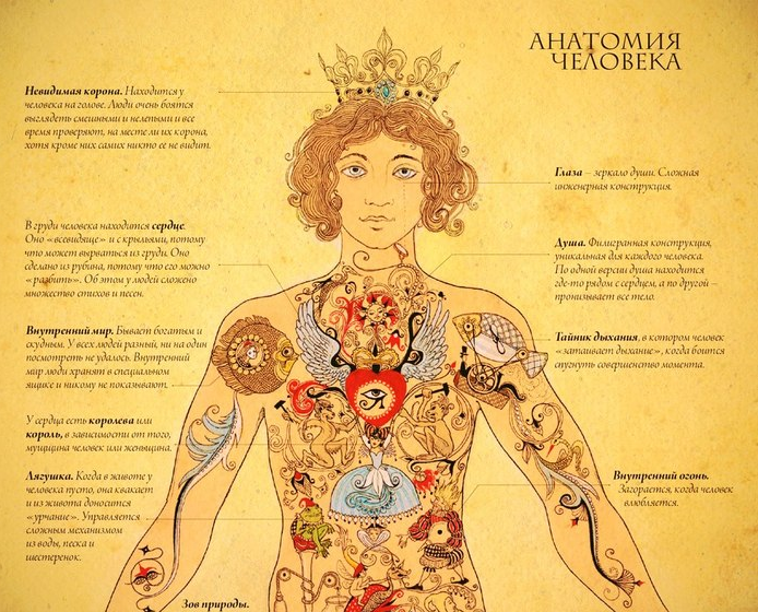 органы, которые важнее, чем мы думали