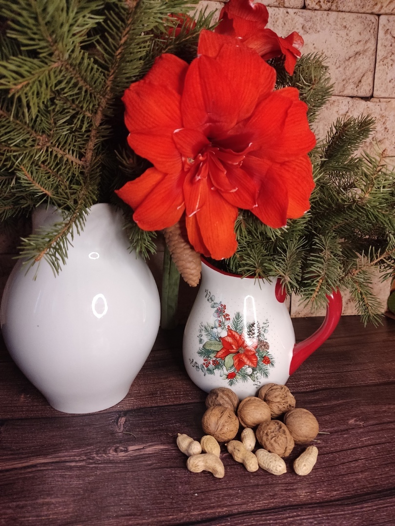 Гиппеавтрум в новогоднем букете