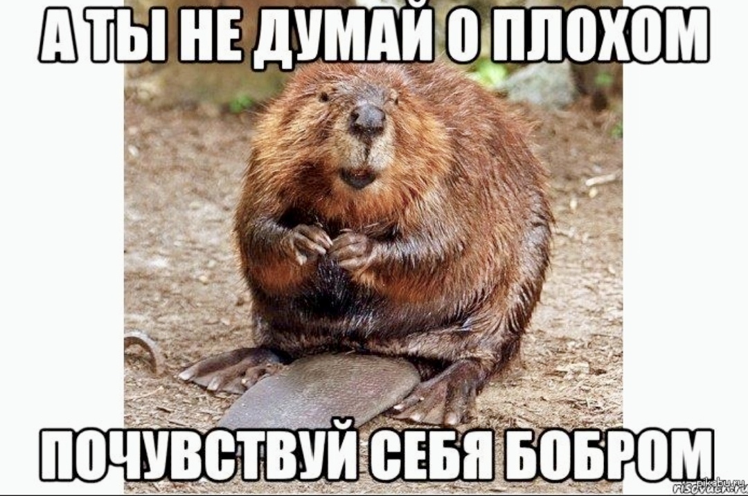 Включи песню ничего не