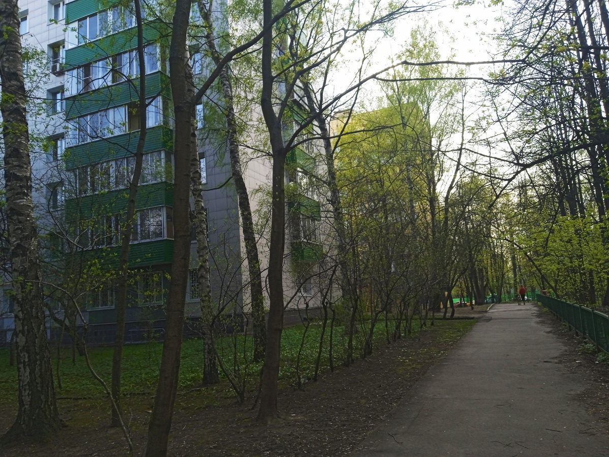 Наш дом на Уральской. Фото 2022 года. Наш балкон (с торца, на 2-м этаже), и окно маленькой комнаты (за берёзкой).