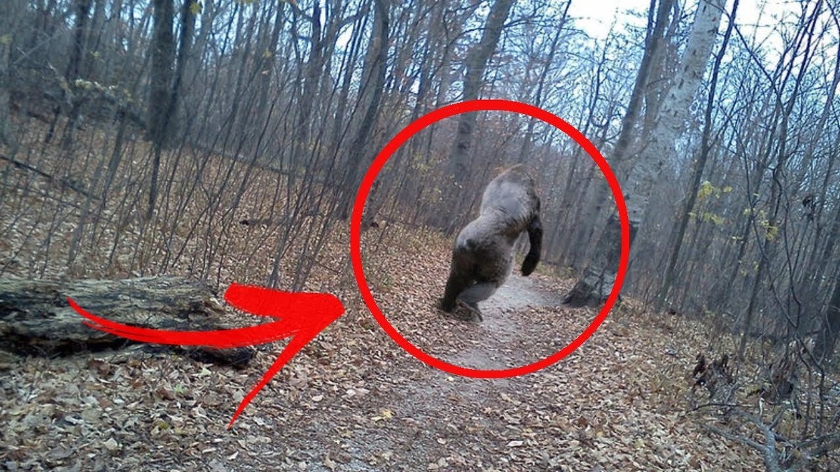 Фото взято из поиска в интернете