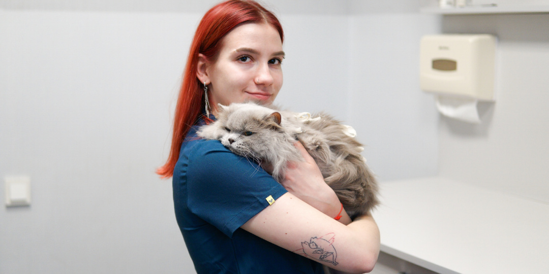 Линька у котов: как облегчить жизнь себе и питомцу?
