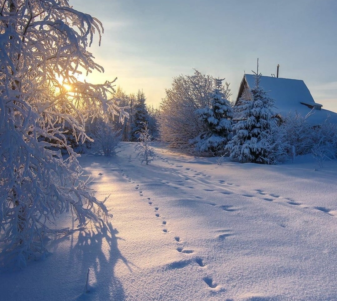 Зимние пейзажи. Фото из интернета