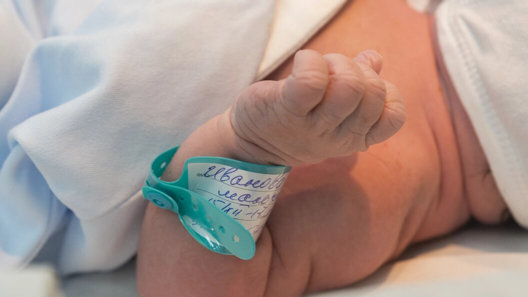    Фото: Aleksey Smyshlyaev/Globallookpress