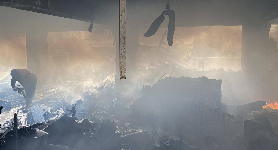    IMAGO/Hadi Daoud apaimages / Global Look Press