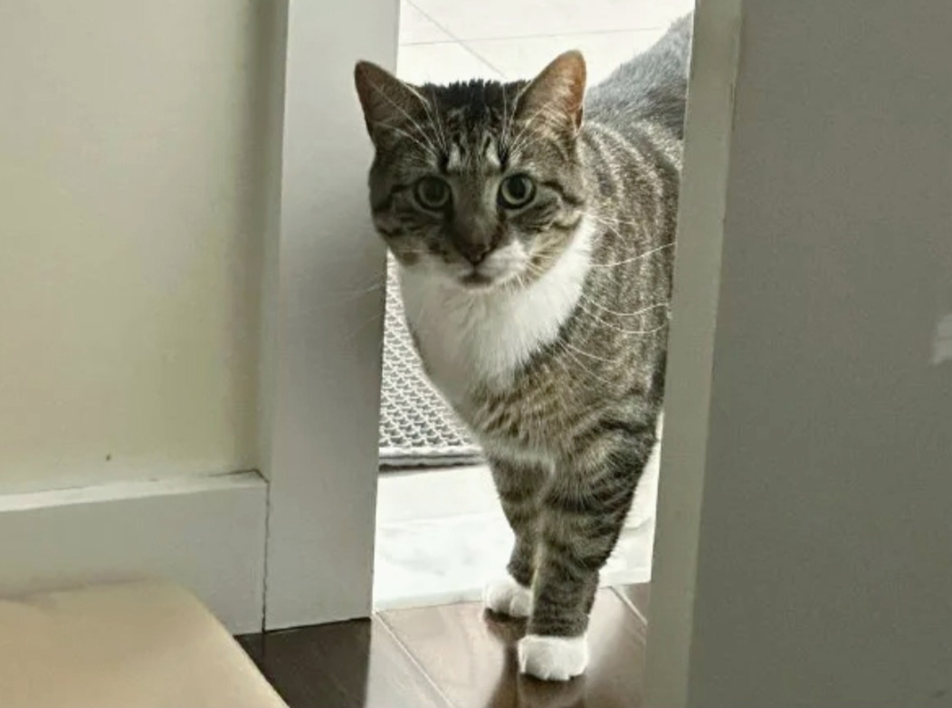 Можно к вам ? Я немного тут с вами побуду ->->->