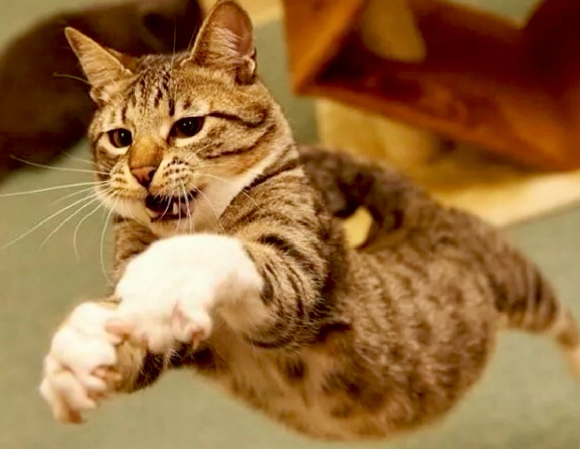 Вжуууух! Ииии полетели, друзья! С вас море улыбок и позитива!