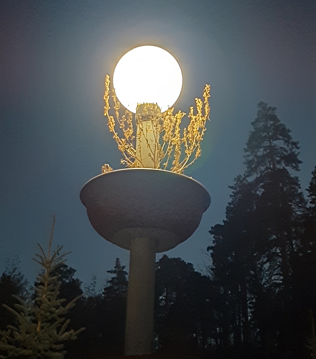 На территории санатория