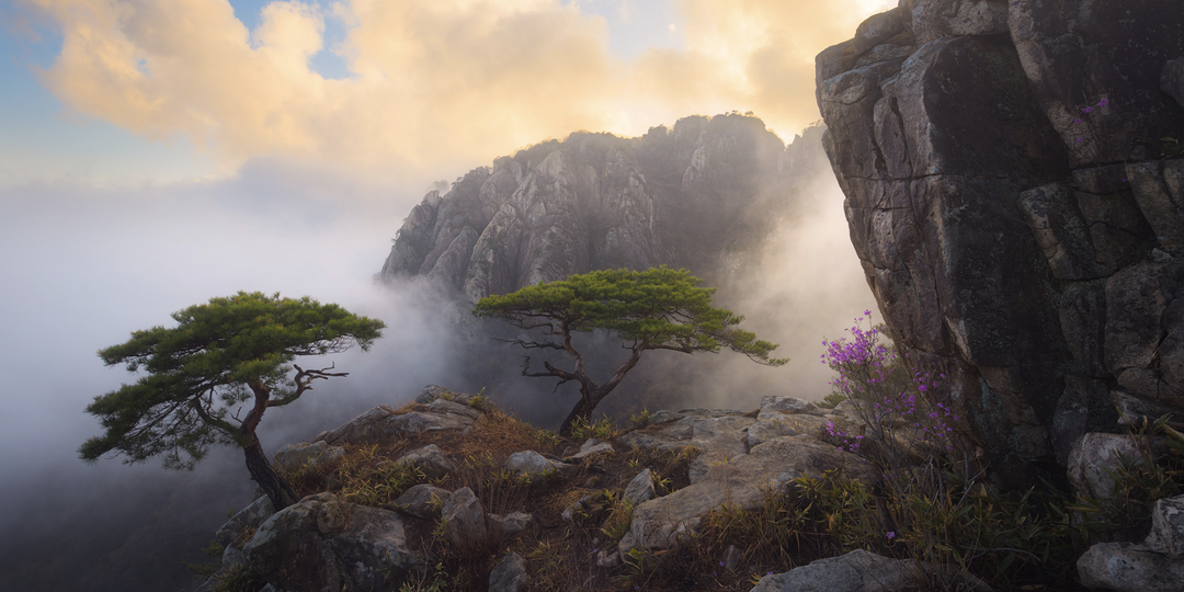 Эти пейзажные фото сделаны в Южной Корее - сложно поверить (18 снимков)