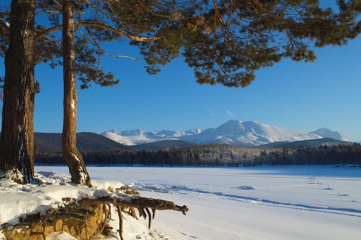 Из открытых источников.