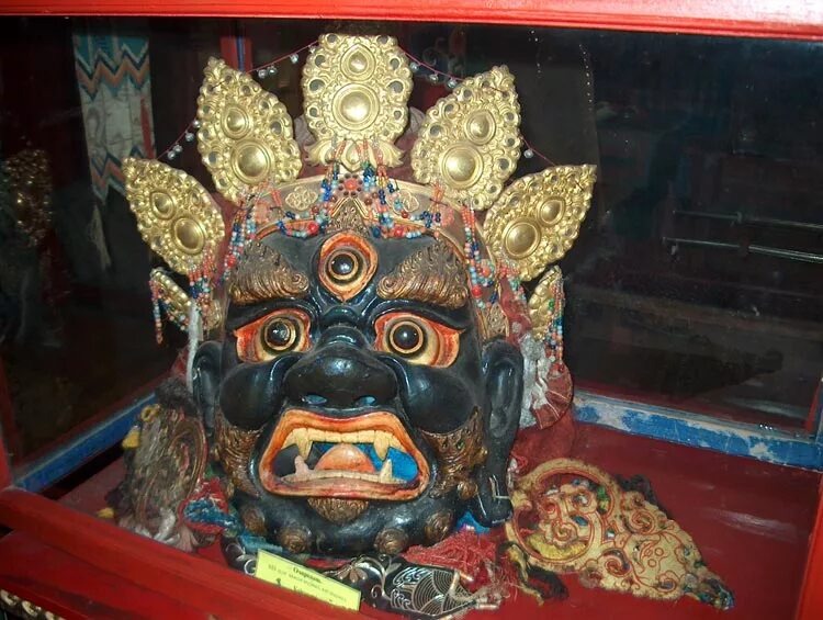 Фото из интернета 