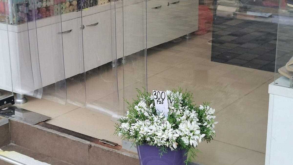    Фото: пресс-служба администрации Сочи