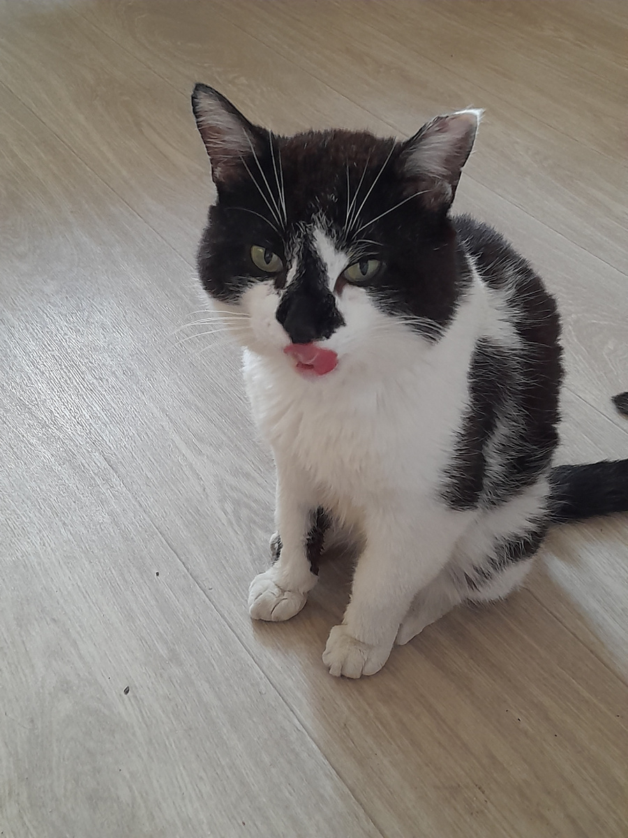 Фото автора.  Дома