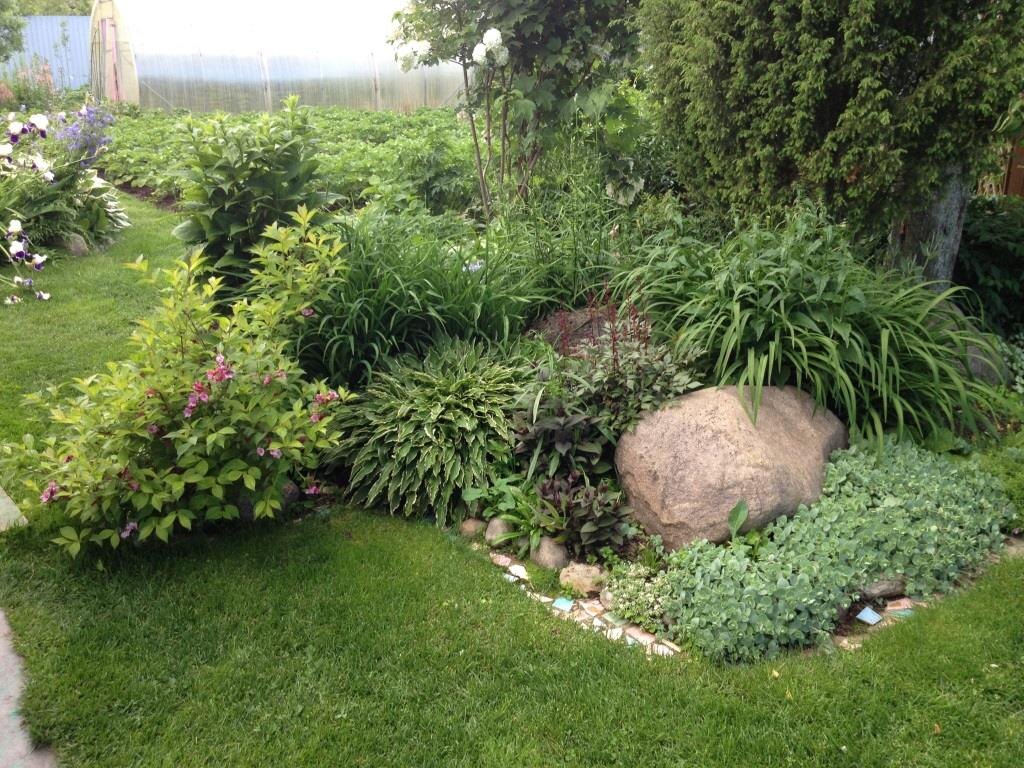 2007 год. За большим камнем уже растут вместе колокольчик и лилейник.