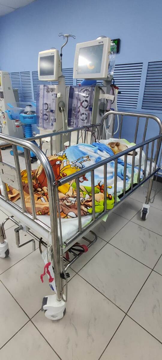 Фото предоставлено Константином Садоведовым