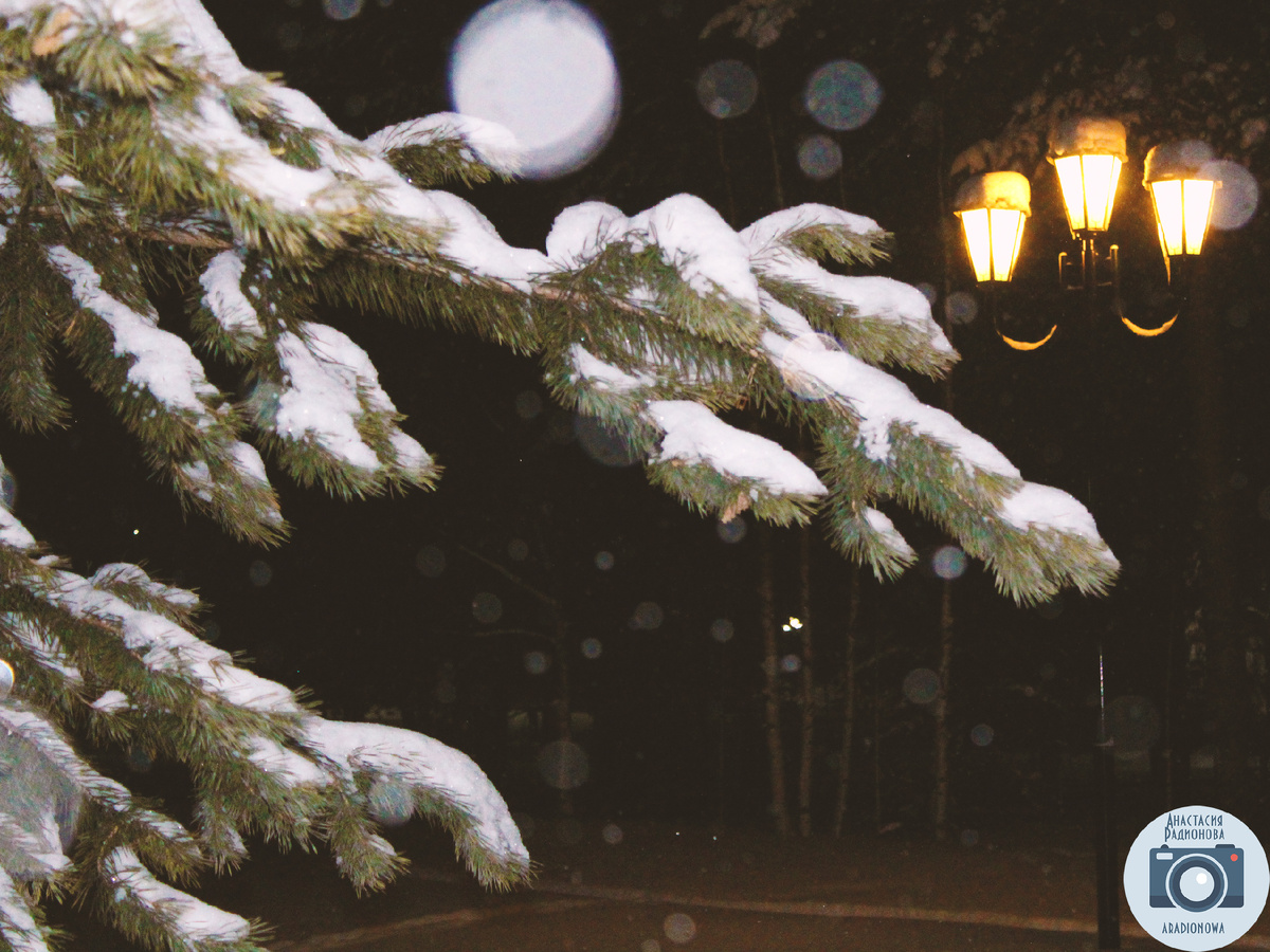 Парк Победы в городе Радужный. Фотограф Анастасия Радионова