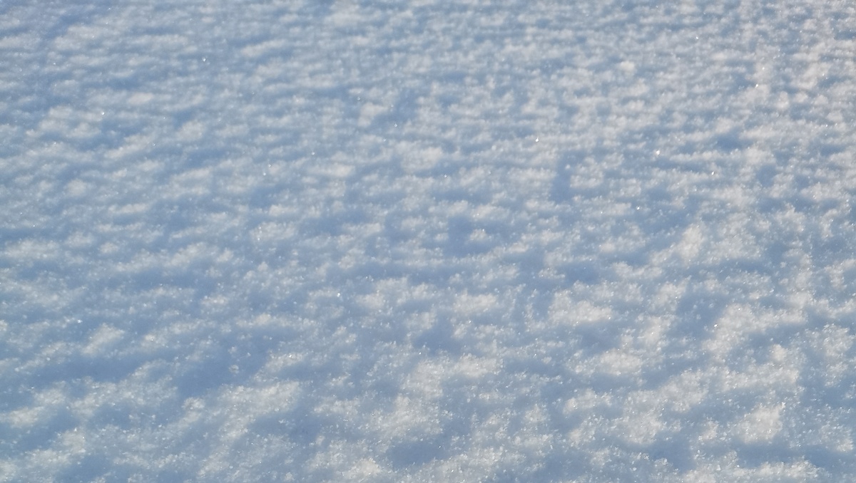     Источник: ИА «Росбалт»