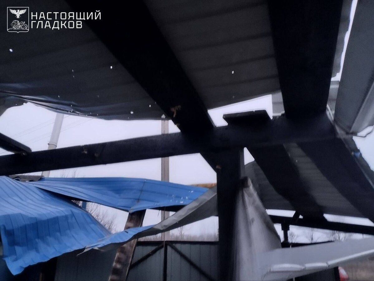     / Источник: © Telegram/Настоящий Гладков