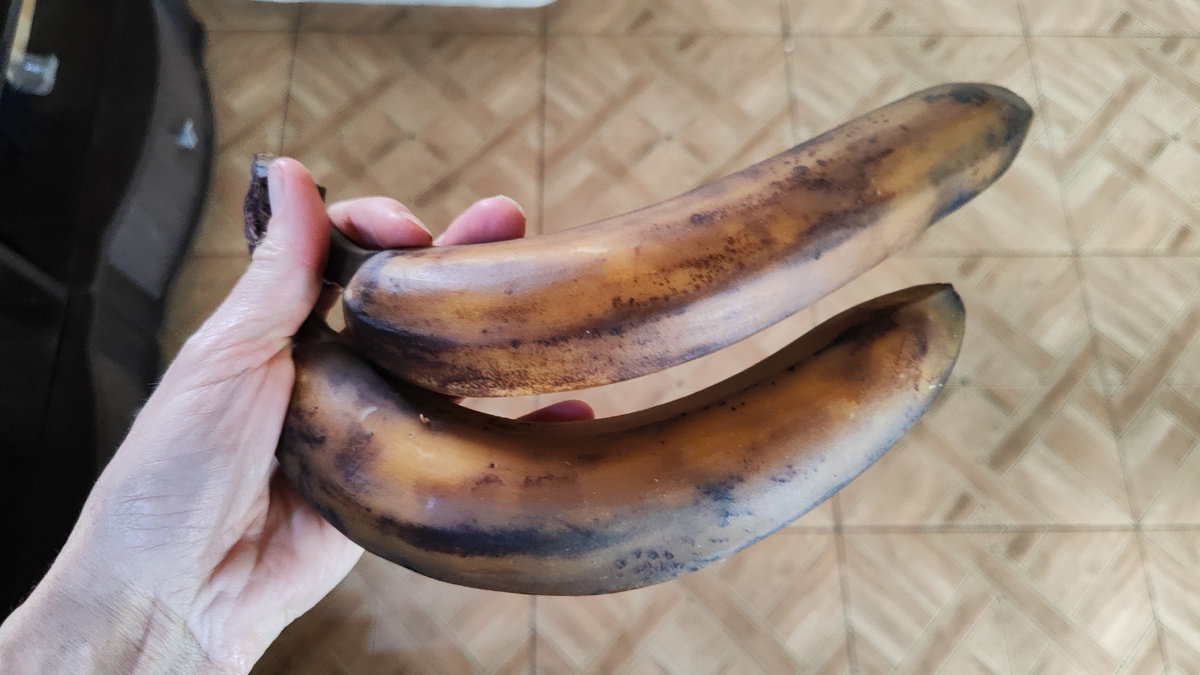 Вид у них так себе... 