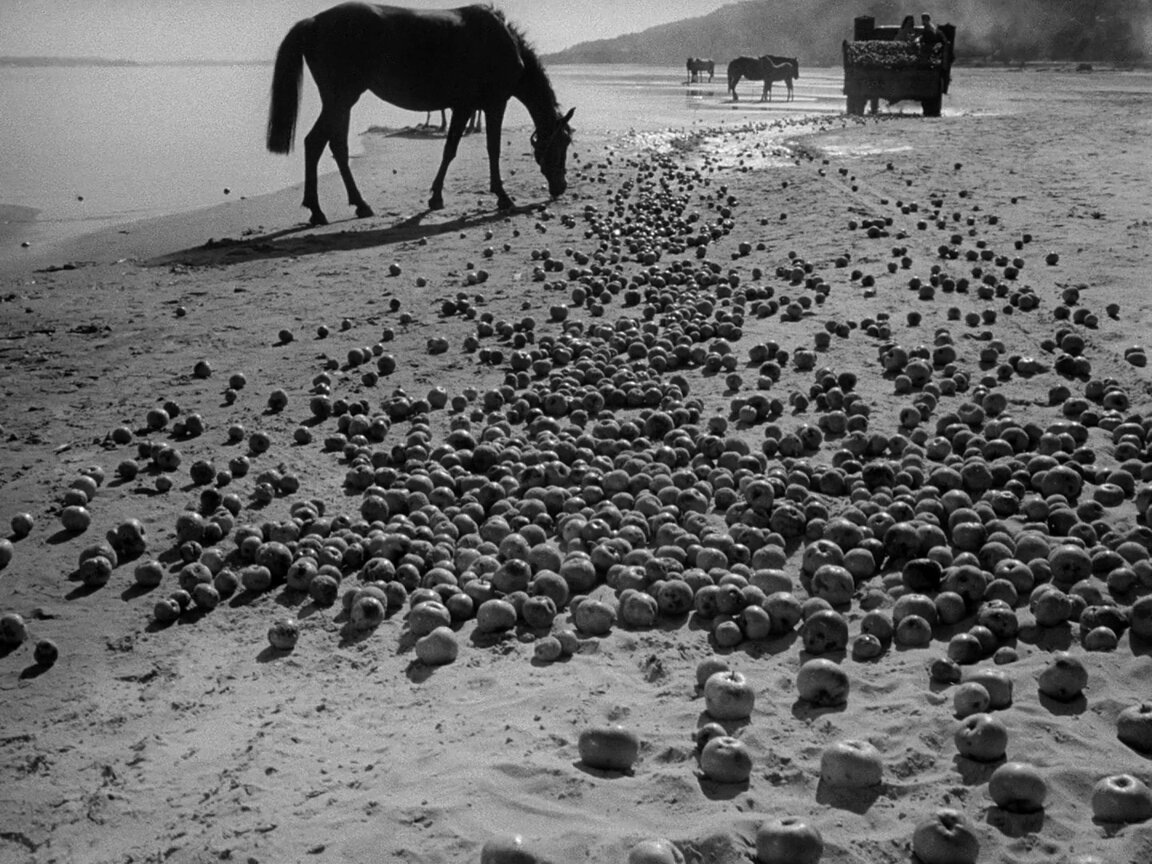 "Иваново детство", СССР, режиссёр Андрей Тарковский