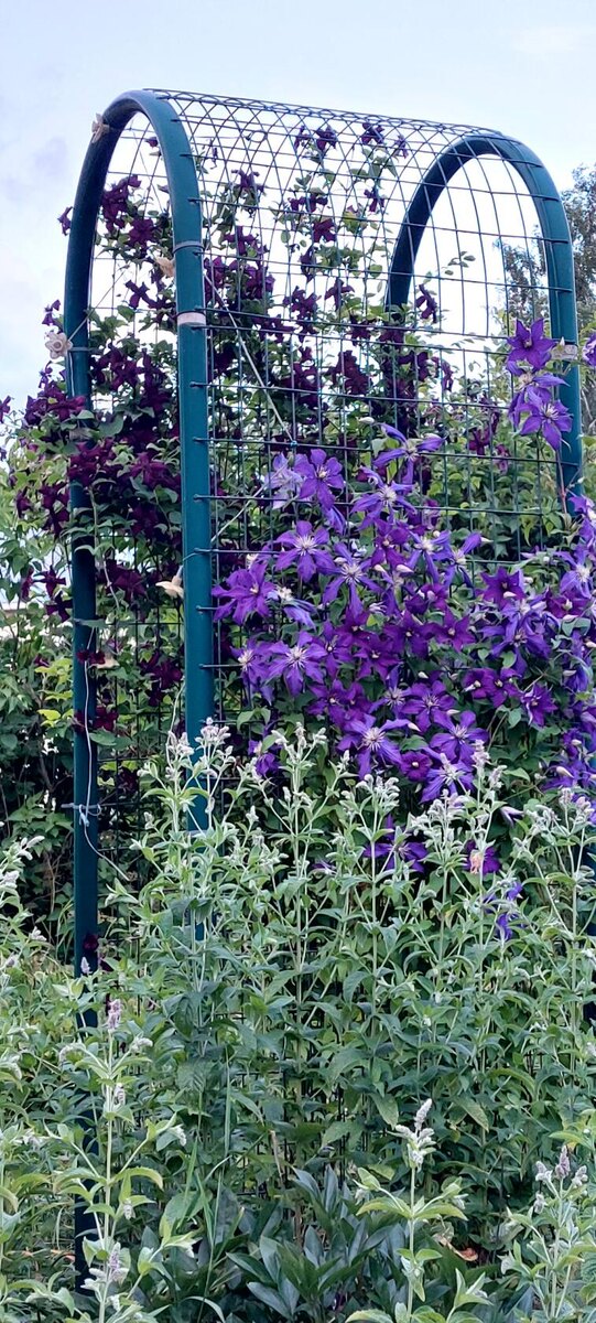 Рапсодия и Дарк Айз.