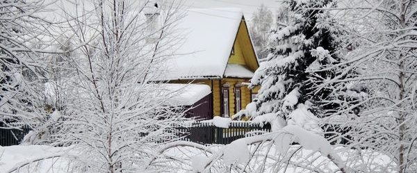 Из открытых источников сети интернет