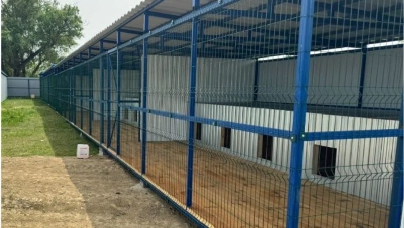      Фото: соцсети Михаила Миненкова