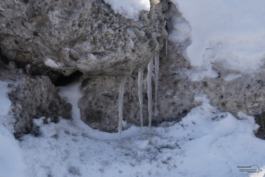    Фото: Лидия Аникина © ИА «Уральский меридиан» Галина Ниценкова