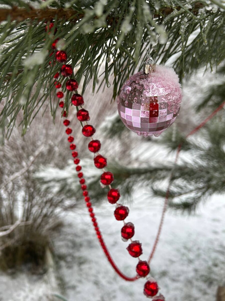 фото с тг канала Е Иолтуховской