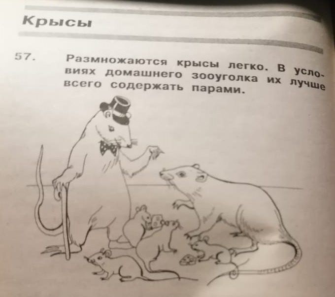 иллюстрация из книги "600 практических советов. Домашние животные. Дрессировка"