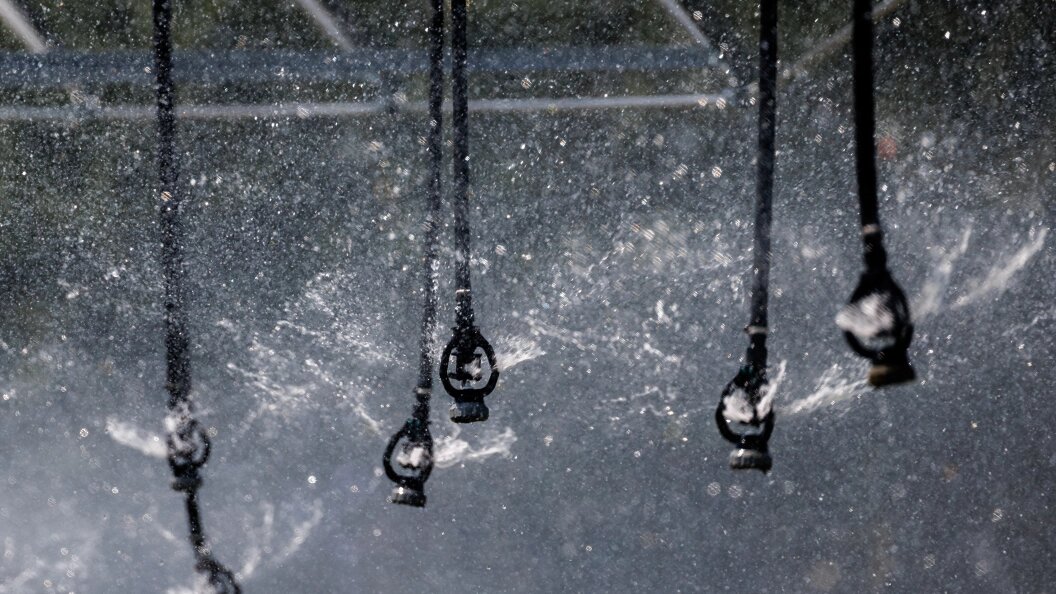    Фото: Sergey Elagin/Globallookpress