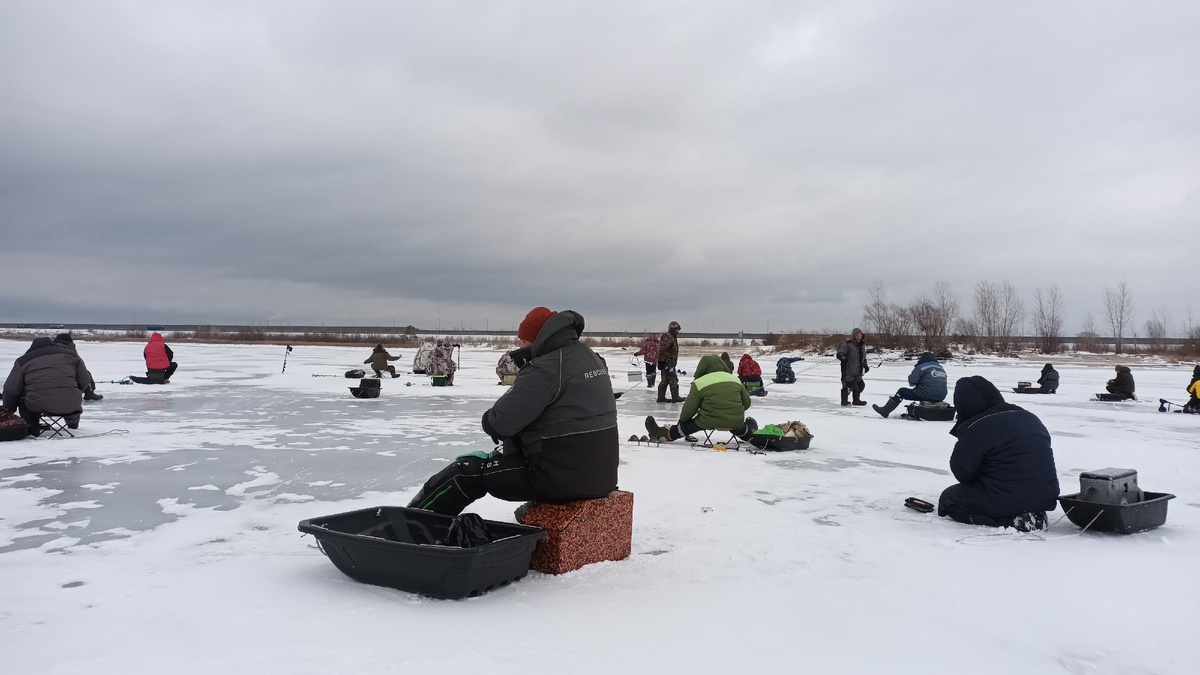 рыбаки ловят чехонь. фото рыбалка в поволжье. дзен канал