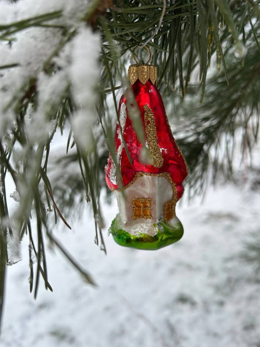 фото с тг канала Е Иолтуховской