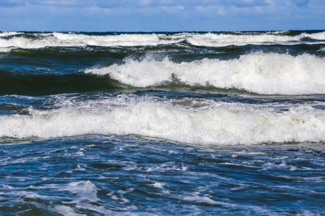   Фото из архива Калининград.Ru