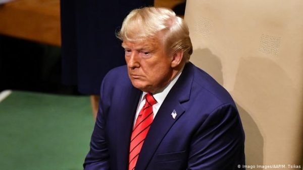    Дональд Трамп. Фото: ТВЦ