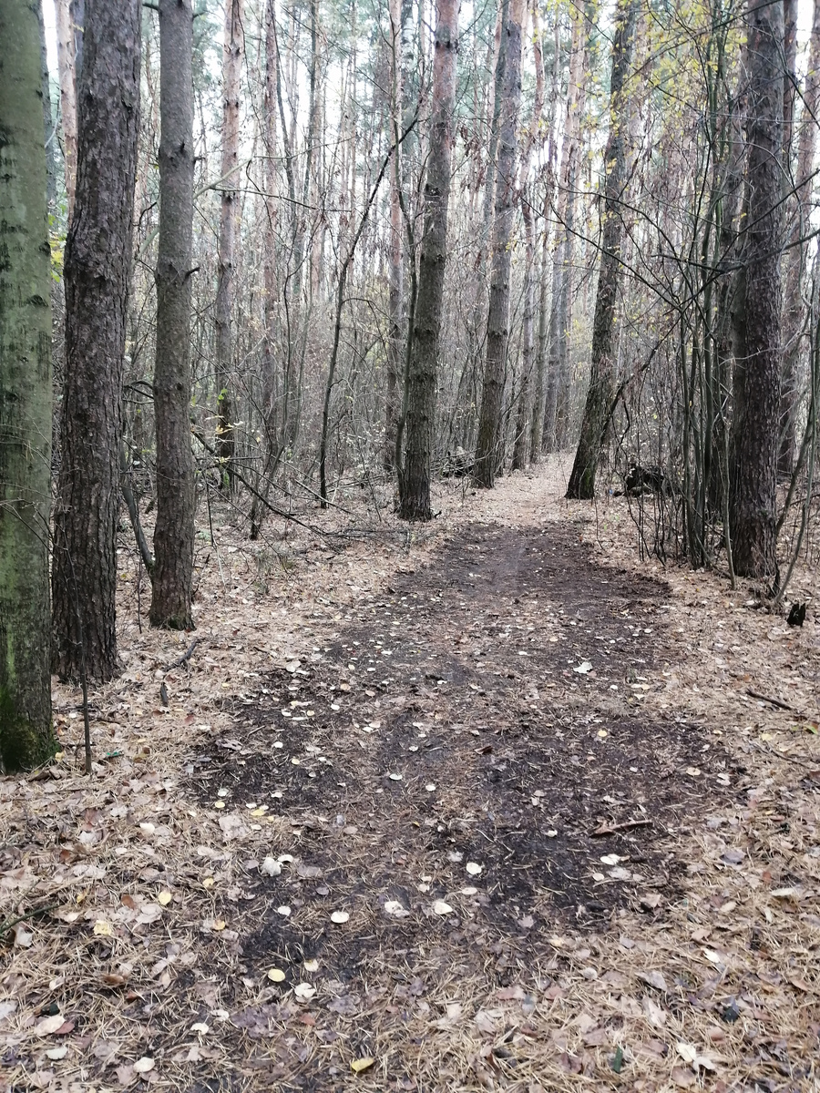 Странное темное пятно на светлой дорожке