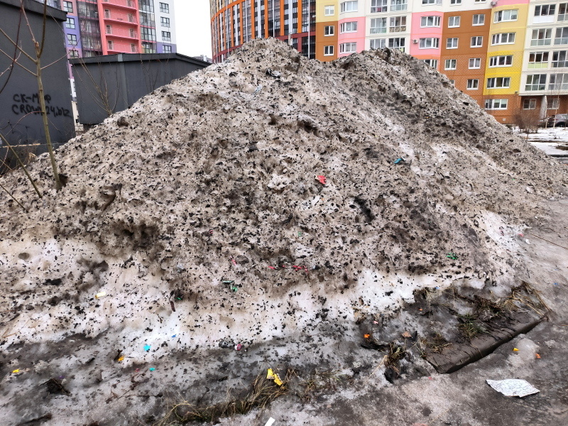    Фото: Maksim Konstantinov/Global Look Press