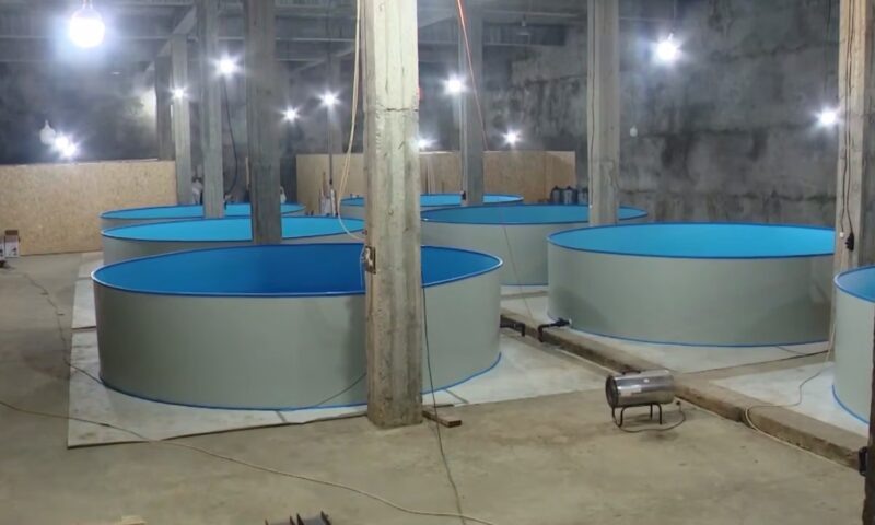    Фото t.me/opershtab23