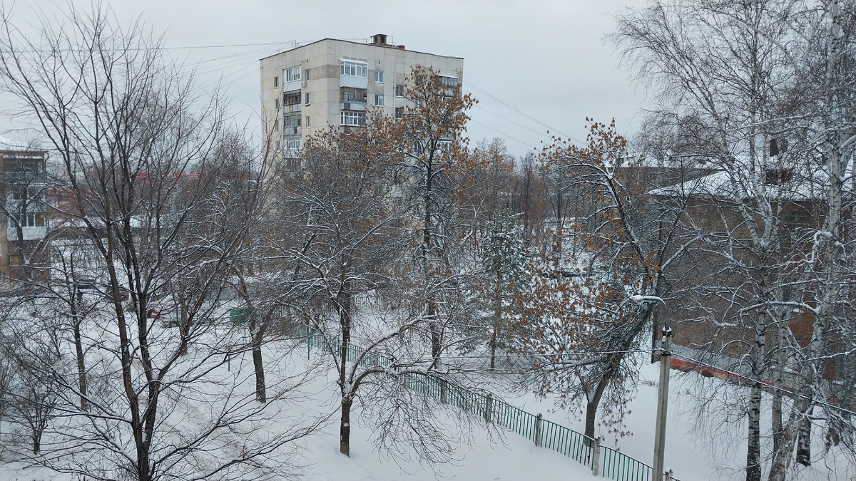 Вид из окна 