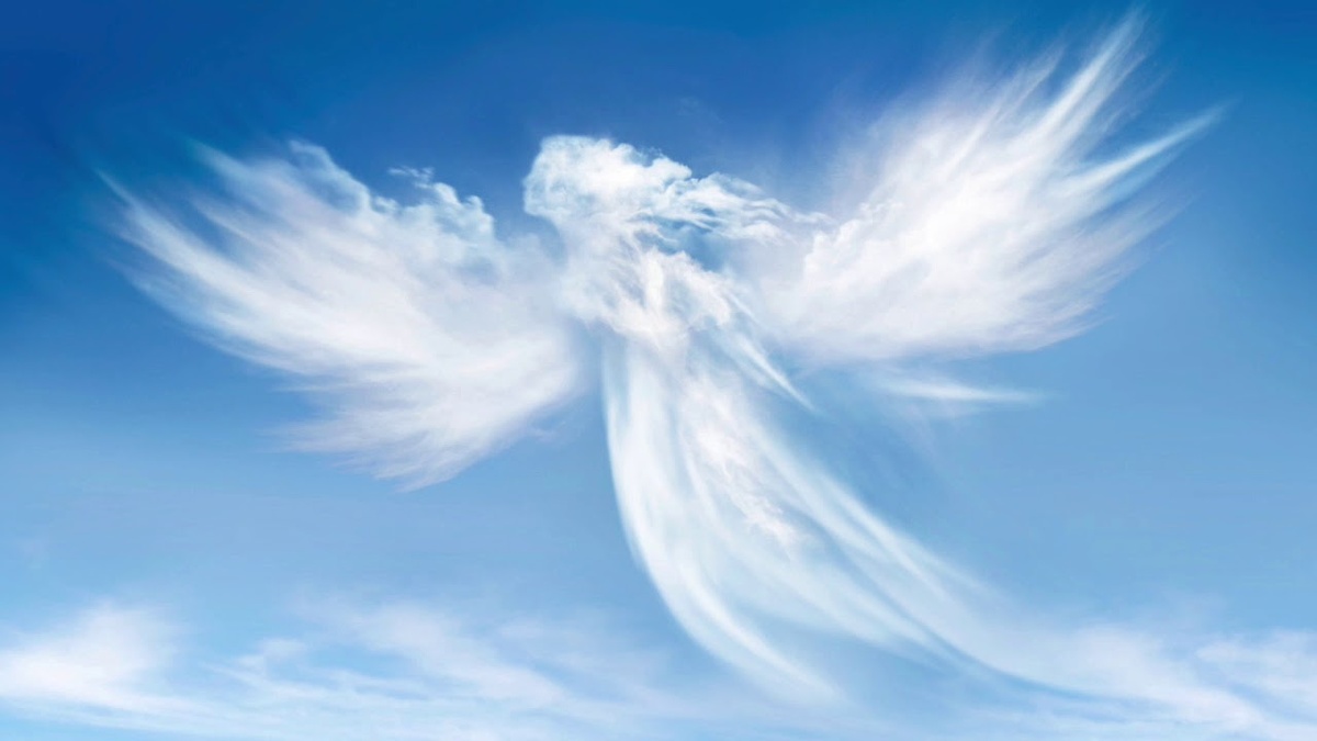 Из открытых источников