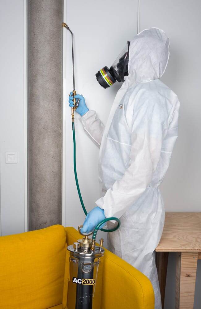 Уничтожение Клопов в Москве: Как Вернуть Комфорт и Спокойствие в Ваш Дом