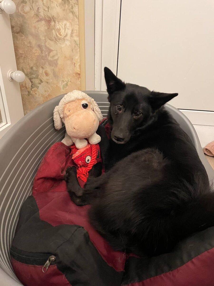 И правда.Три года мне всё обещаете и обещаете