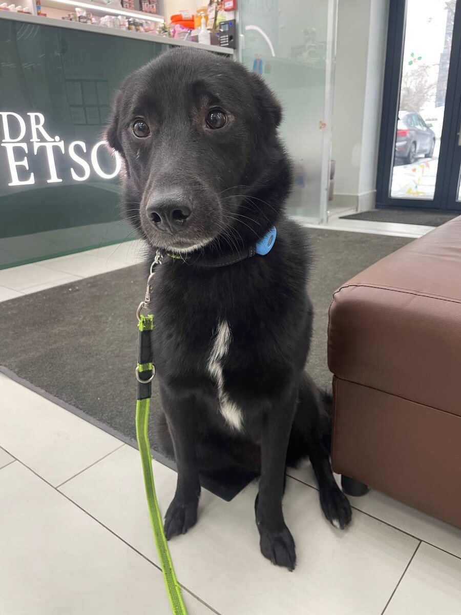 Может и правда у меня нет ничего?