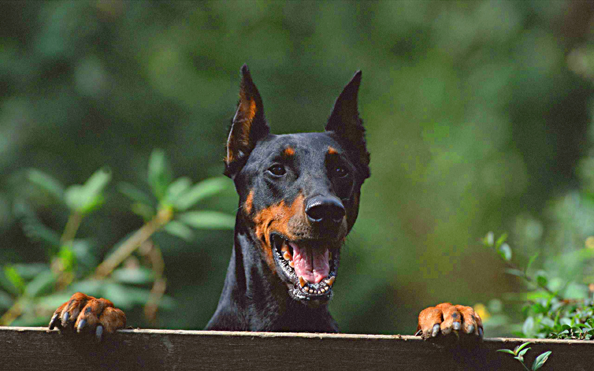 Фото взято из интернета.