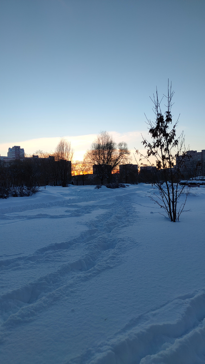 Фото автора. Визуализация зимы мечты 